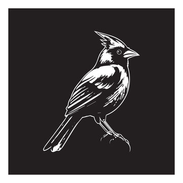 Cardinal clip art preview