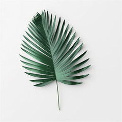 Green leaf of a palm tree isolated on white background. AI generated content