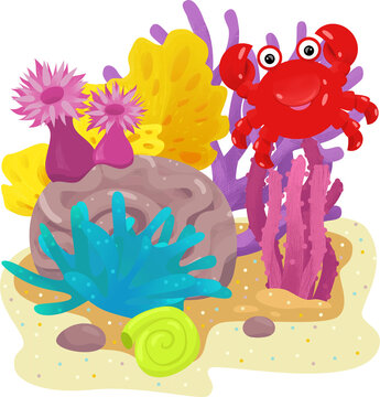 cartoon scene with coral reef with swimming crab fish isolated element illustration for kids