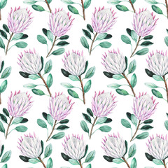 Fototapeta na wymiar Seamless pattern with pink protea flowers, watercolor hand drawn illustration