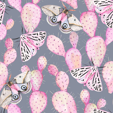 Watercolor seamless pattern with pastel pink opuntia cactus and cute moths and butterflies. Aquarelle hand drawn illustration.
