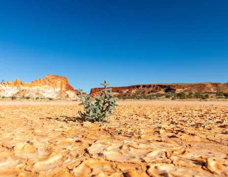 Desert rocks sand and blue skies with plants