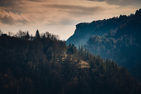 Paisaje idealizado de contrastes tonales