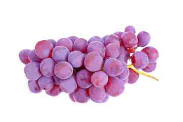 Purple grape bunches isolated on  transparent png