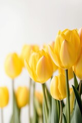 Obraz premium The illustration of tulip, AI contents by Midjourney