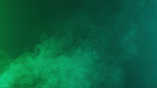 Puffs of smoke against a black background. Neon light transforms the smoke into bright colorful clouds. The magic of smoke fascinates with its patterns, loops and waves.