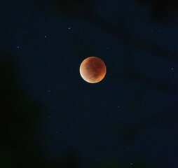 Total Lunar Eclipse, Blood Moon