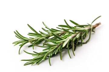 Fresh green organic rosemary leaves and peper isolated on white background