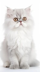 Persian cat with yellow eyes posing generative ai