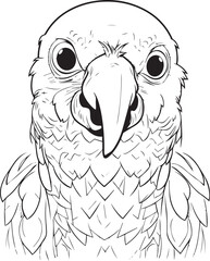Fototapeta premium Parrot bird illustration, cute parrot coloring page for kids and adult, parrot mascot logo, parrot bird vector design