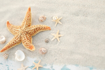Summer time concept with sea shells and starfish on the beach sand white background. free space for your decoration Top view.