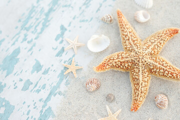 Fototapeta na wymiar Summer time concept with sea shells and starfish on the beach sand white background. free space for your decoration Top view.