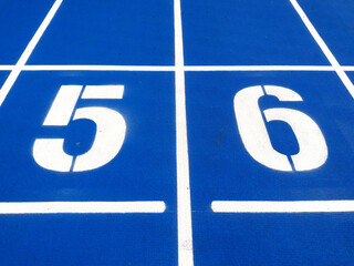 Stadium runway or athlete's track start number (5) (6). Tracks are rubber man-made tracks used in athletics.