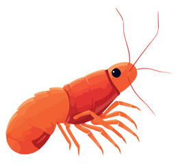 underwater shrimp design