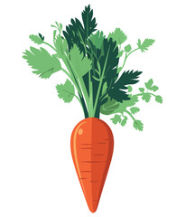 Fresh carrot illustration vector