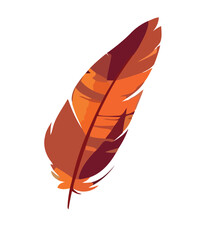 Feather symbolizes fragility and beauty in nature