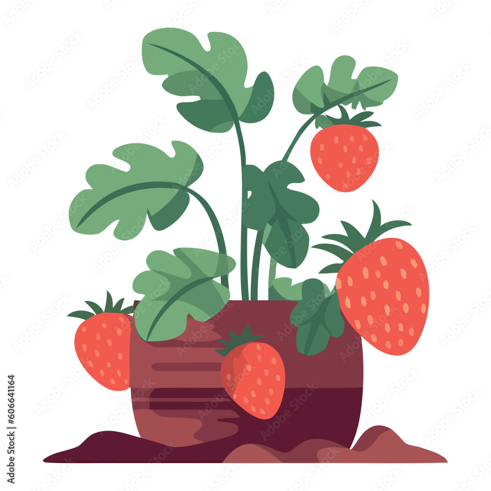 Wall mural strawberry plant design