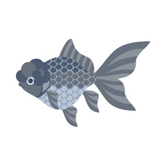 金魚（青文魚）。フラットなベクターイラスト。
Blue Oranda goldfish. Flat designed vector illustration.