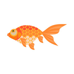 金魚（頂天眼）。フラットなベクターイラスト。
Celestial eye goldfish. Flat designed vector illustration.