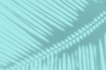 Tropical palm leaves shadow on pastel color background with copy space