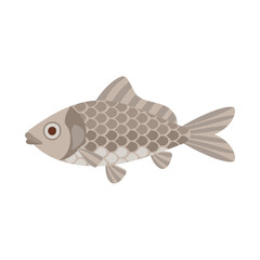 鮒。フラットなベクターイラスト。
Crucian carp. Flat designed vector illustration.