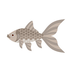 鉄魚。フラットなベクターイラスト。
Tetsugyo goldfish. Flat designed vector illustration.