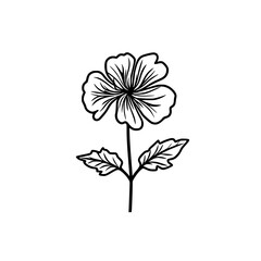 Geranium flower vector illustration isolated on transparent background