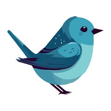 blue bird on white background