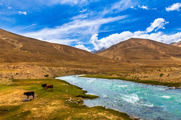 landscape with river