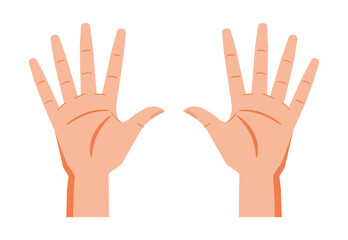 Obraz premium Vector de manos editable. Palma de la mano. Dedos. Cuerpo humano.