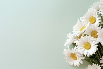 Photo pretty daisies on pastel background with copy space at the bottom