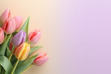 Obraz premium Photo pretty tulips on pastel background with copy space at the bottom