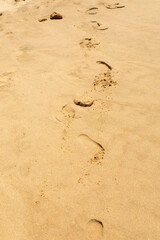 Fototapeta na wymiar human footprints on the sea sand
