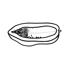 hand drawn illustration of papaya