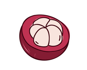 Mangosteen  on white background. Line vector illustration