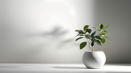 White vase with plant on the table with Grey blank wall  copyspace. AI Generative Image 
