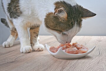 Tabby cat looking curious to a bowl full of meat on the table.	
