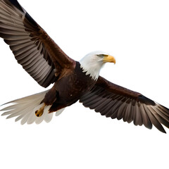 american bald eagle flying isolated on white background, generative ai 
