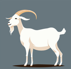 Cute goat vector flat illustration isolated on white background. Farm animal goat cartoon character.