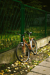 bicycle in the park