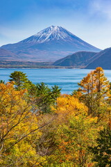 富士山と紅葉　山梨県身延町本栖湖にて