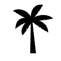 silhouette coconut tree