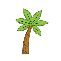 Coconut Tree Illustration