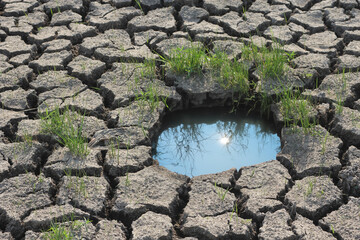 Dry cracked earth with small water puddle. Global warming concept