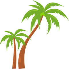 Coconut Tree Illustration