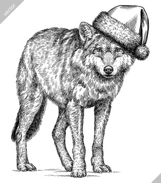 Vintage engraving isolated gray wolf set dressed christmas illustration ink santa costume sketch. Wild dog background animal silhouette new year hat art. Black and white hand drawn vector image.