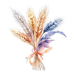 wheat ears isolated ,png transparent on white background ai generative