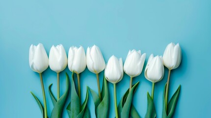 Bouquet of white tulips on pastel blue background. Horizontal background design with copy space. Generative AI.