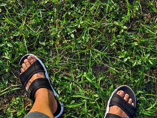 Obraz premium Close up view of man feet wearing black-white sandals on the green grass