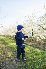 A three-year-old boy runs through a blooming garden with soap bubbles. Cheerful emotional child is walking in the park. Soap bars for children